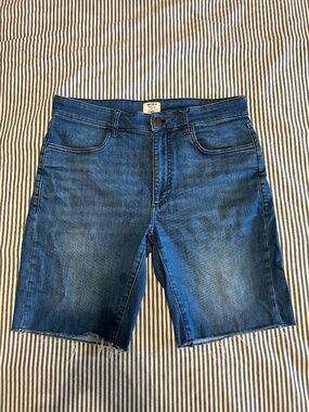 Men's Ripton & Co. Performance Jorts Size 31